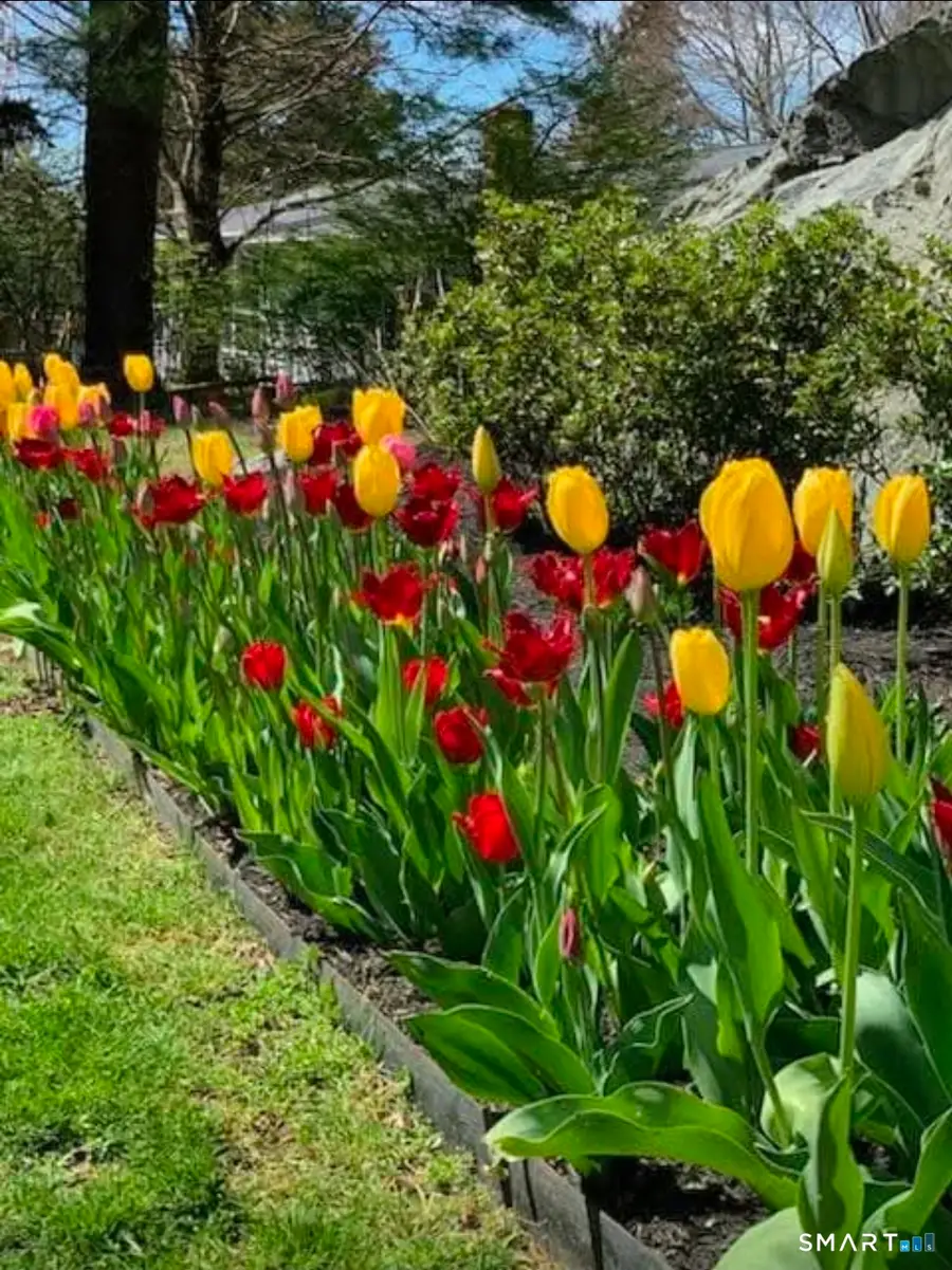 58 Rixtown Road, Griswold, CT 06351 - #2