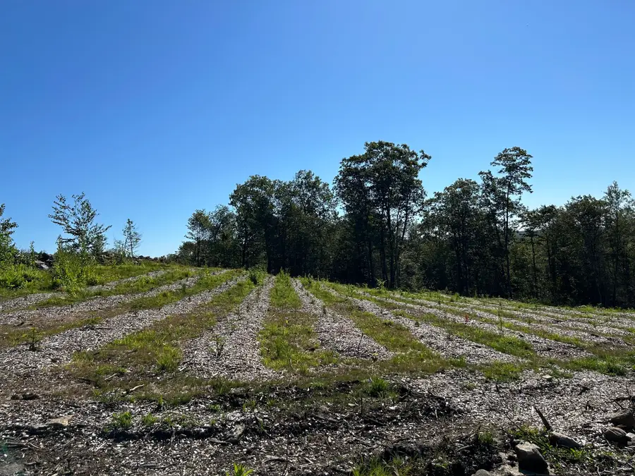 00 Prock Hill Road, Colebrook, CT 06021 - #3