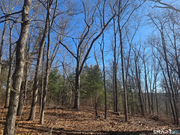 0 Green Hollow Road Road, Plainfield, CT 06354