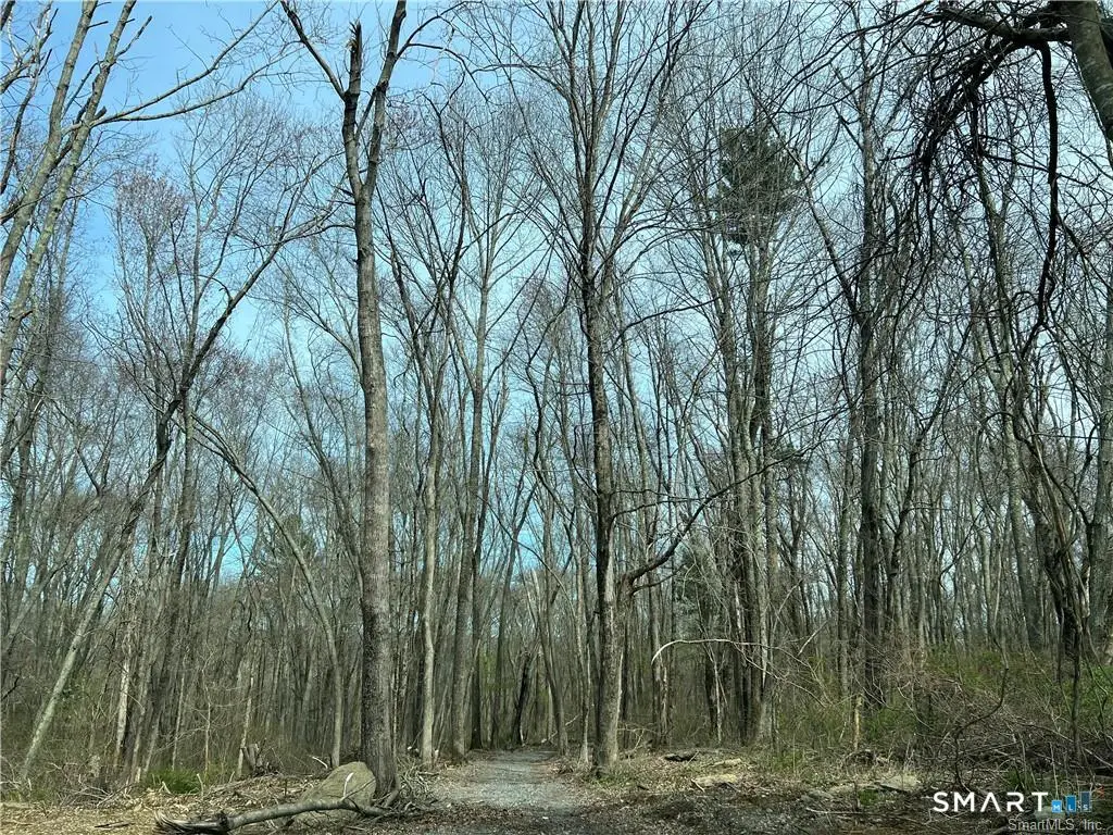 110 Church Street, Brooklyn, CT 06234 - #1