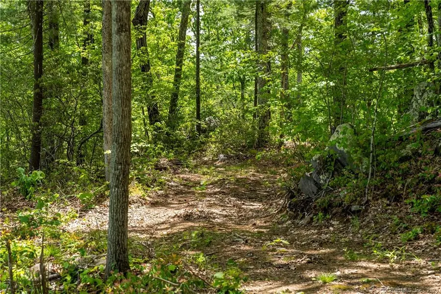 13 Dew Road, Barkhamsted, CT 06063 - #3