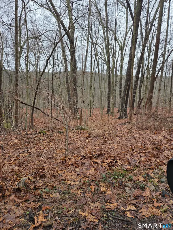 165 Housatonic Trail, Southbury, CT 06488