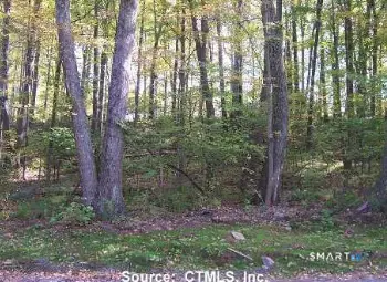 254 Stoddard Road, Morris, CT 06763