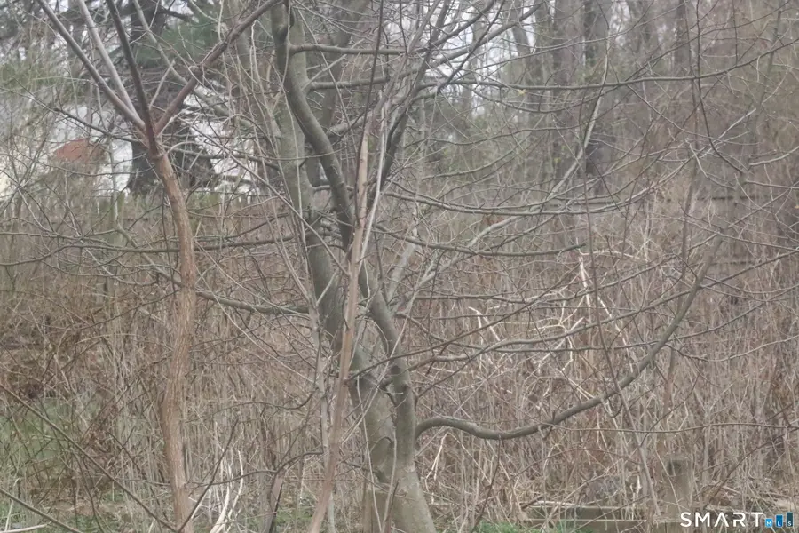 5 Arlington Road, Bloomfield, CT 06002 - #3