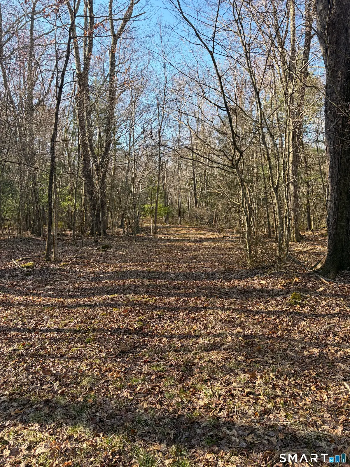 Willington Hill Road, Willington, CT 06279 - #1