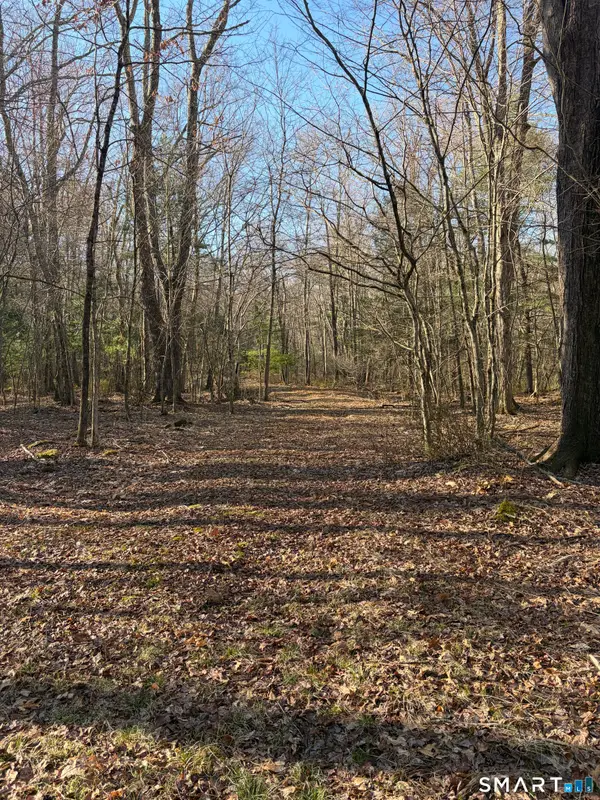 Willington Hill Road, Willington, CT 06279