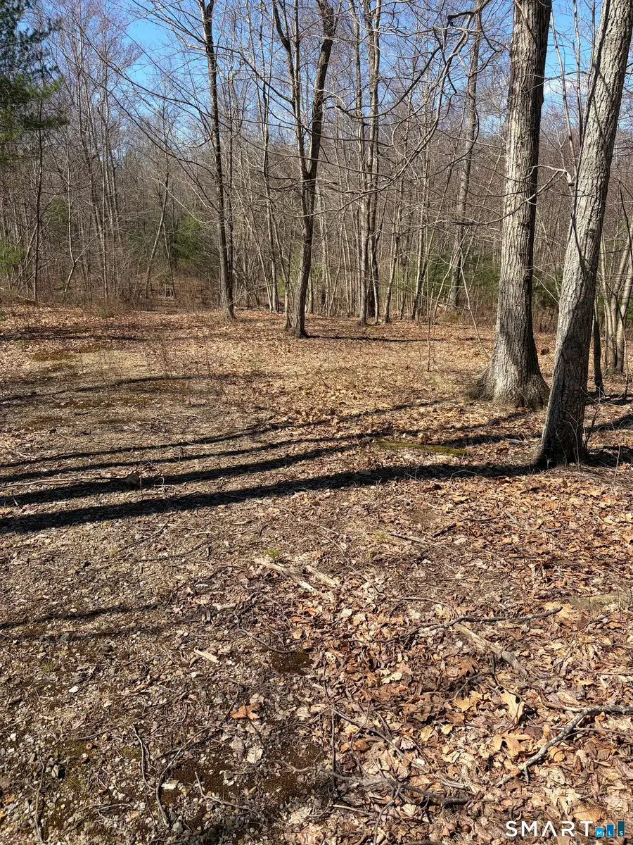 Willington Hill Road, Willington, CT 06279 - #3