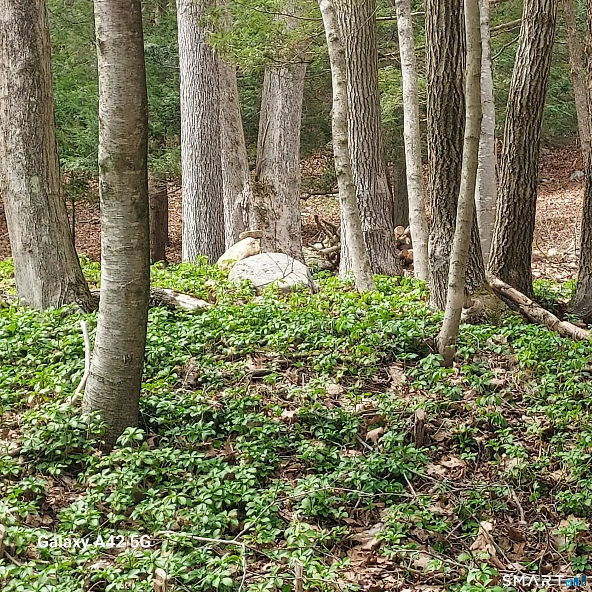 Merrow Road, Coventry, CT 06238 - #1