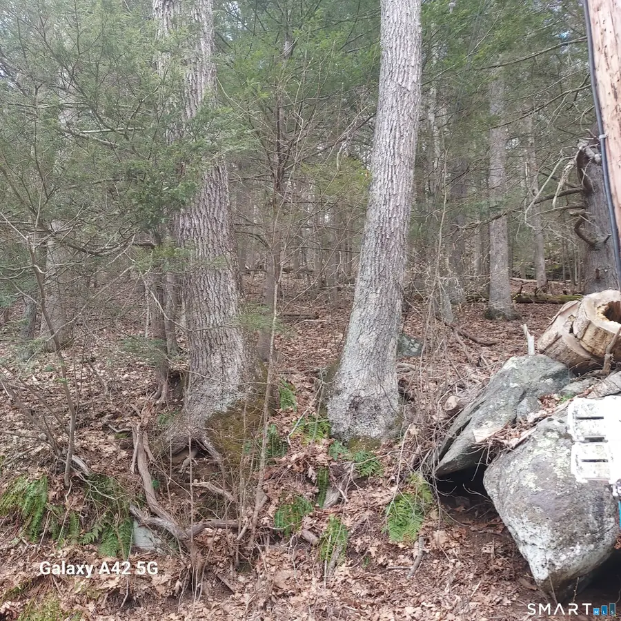 Merrow Road, Coventry, CT 06238 - #2