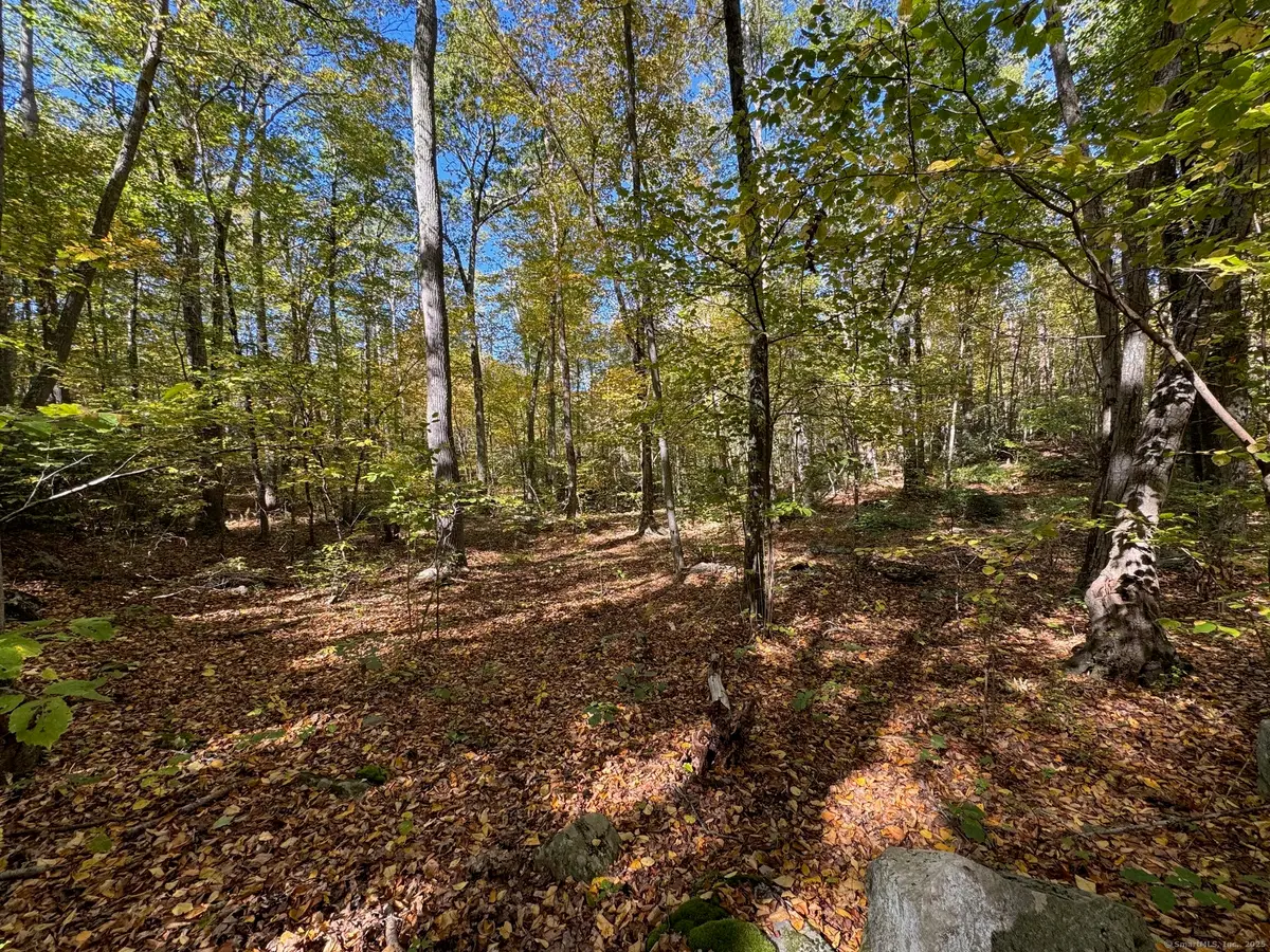 428-LOT Plains Road, Haddam, CT 06438 - #1