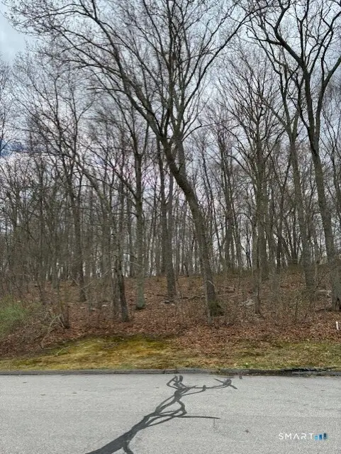 13 Tuckers Run, Ledyard, CT 06339 - #2