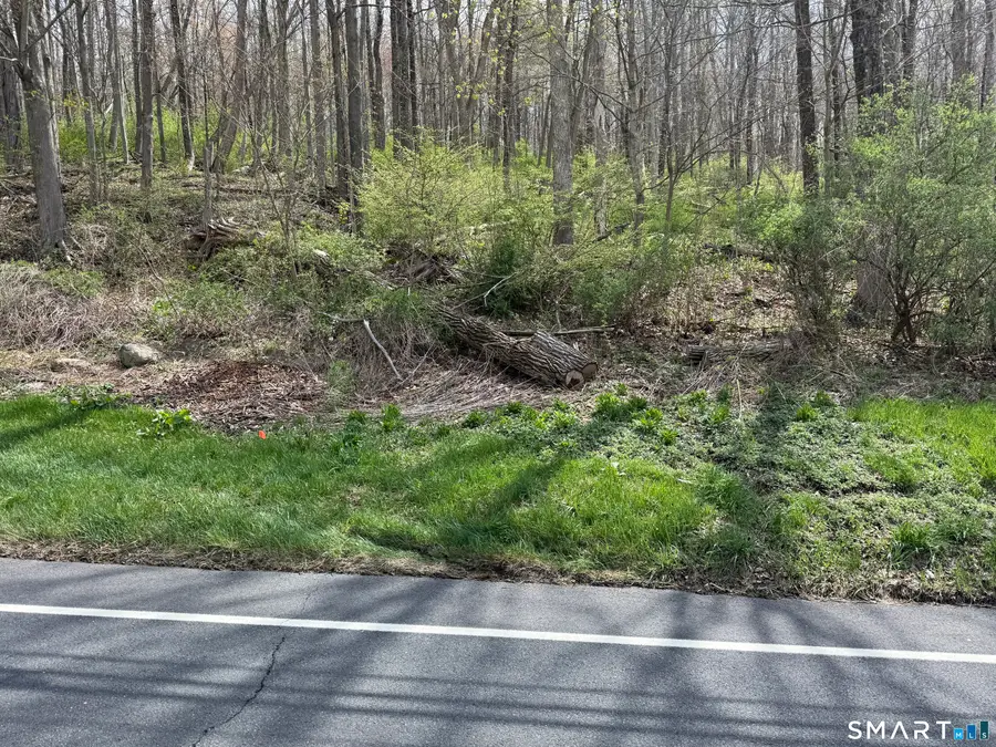 Torrington Road, Litchfield, CT 06759 - #3