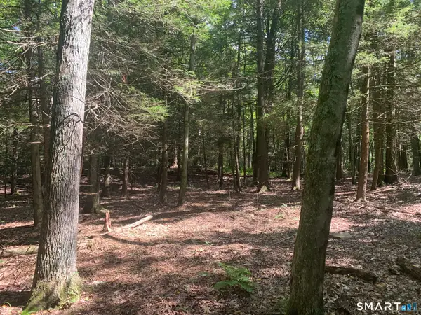 Lot 1 West Chalybes Road, Roxbury, CT 06783