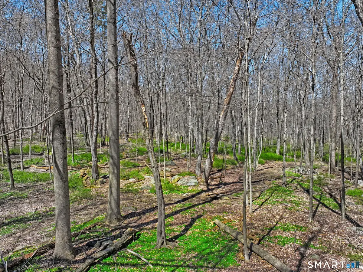 0 June Road, Stamford, CT 06904 - #1