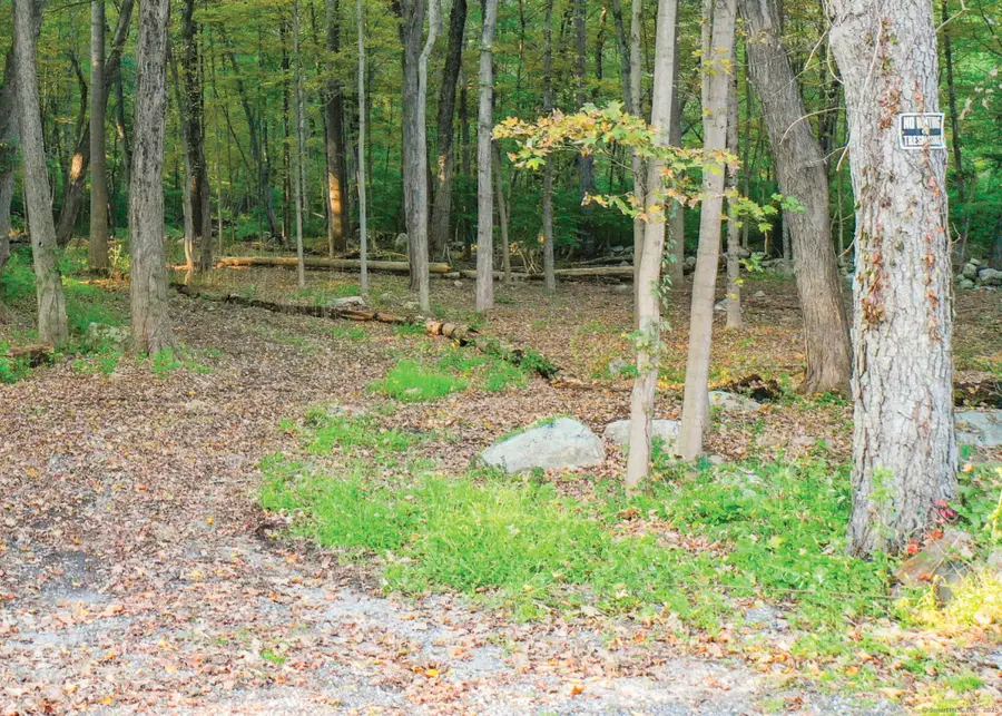 0 June Road, Stamford, CT 06904 - #3