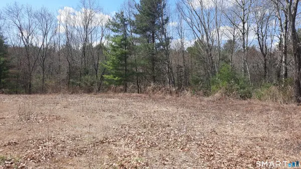 Lot 03-2 New Sweden Road, Woodstock, CT 06281