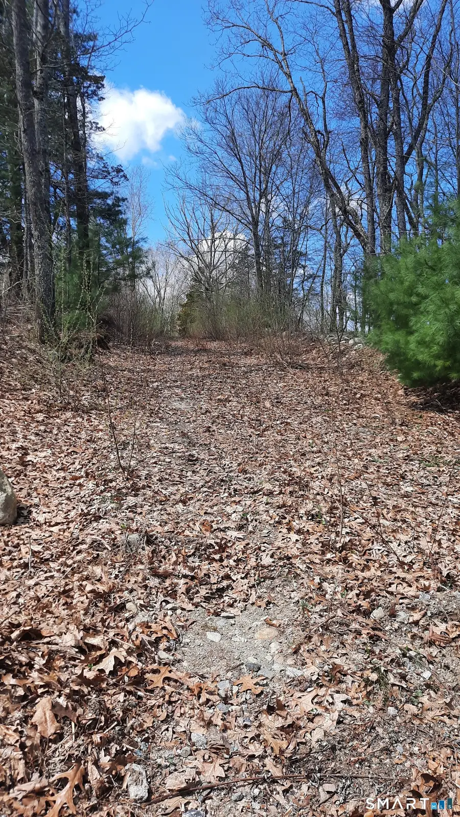 Lot 03-2 New Sweden Road, Woodstock, CT 06281 - #2