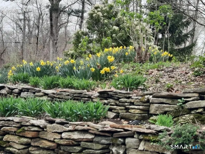 1169 Flanders Road, Coventry, CT 06238 - #3