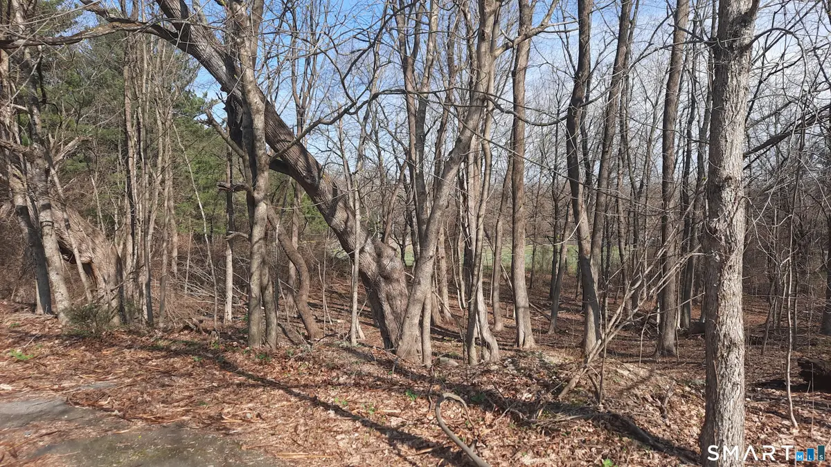 Wauregan Road, Brooklyn, CT 06234 - #1