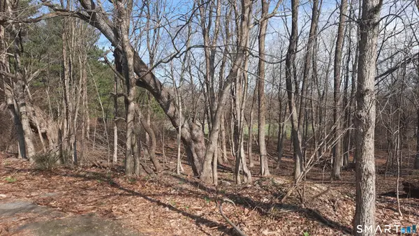 Wauregan Road, Brooklyn, CT 06234