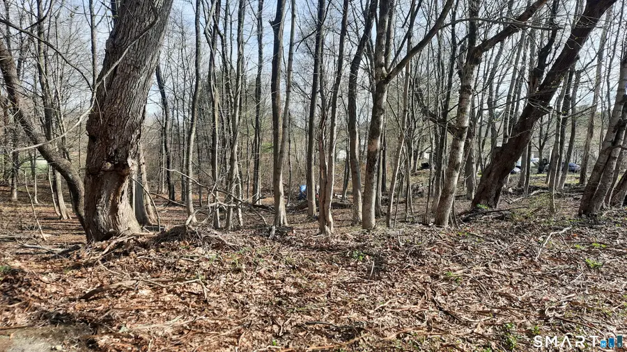 Wauregan Road, Brooklyn, CT 06234 - #3