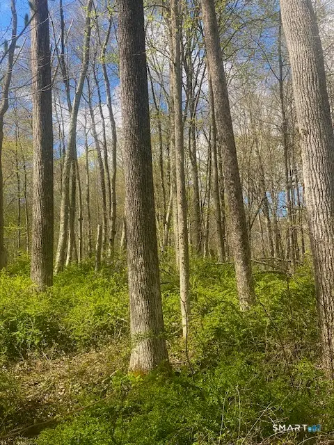 0 Clark Hill Road, East Haddam, CT 06423 - #3