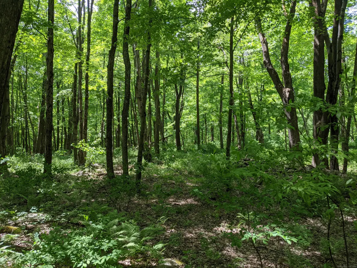 17 Old Homestead Lane, Kent, CT 06757 - #1
