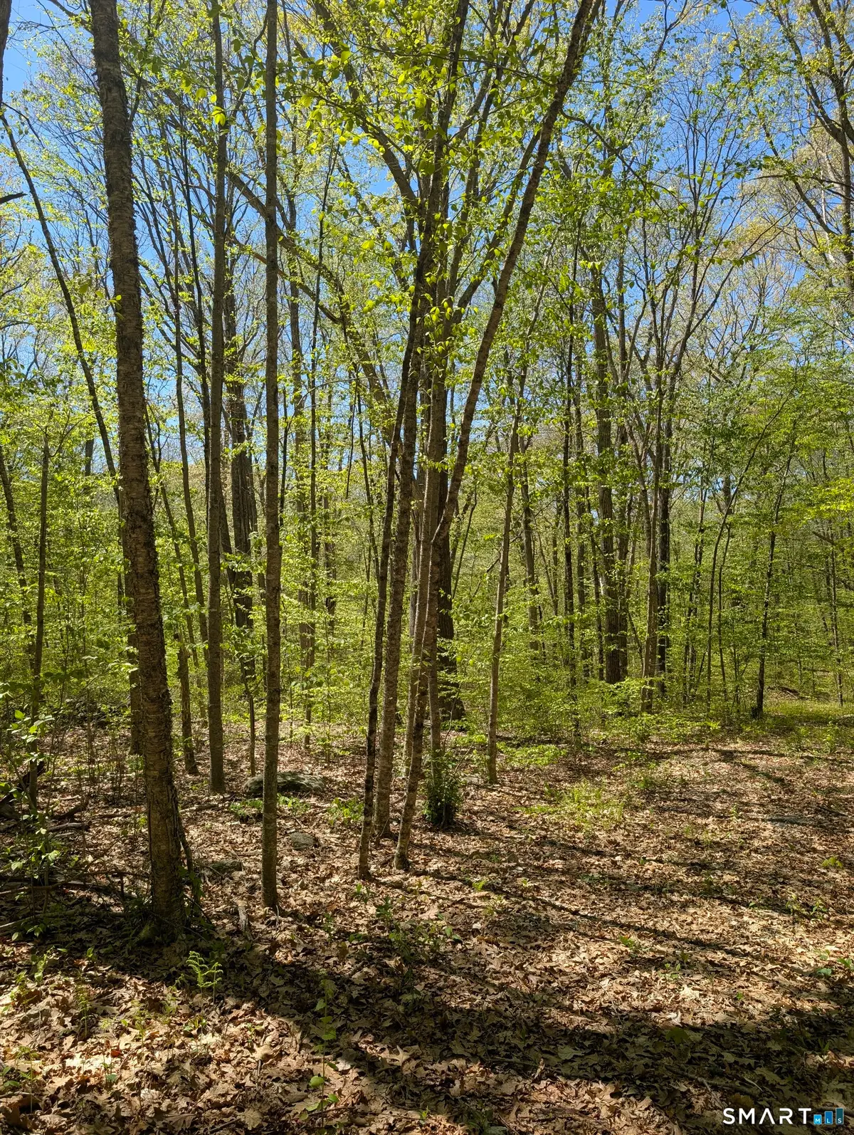 Englewood Trail, Coventry, CT 06238 - #1
