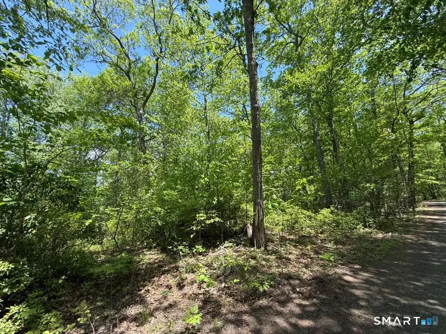 Bunker Hill Road, Killingworth, CT 06419 - #3
