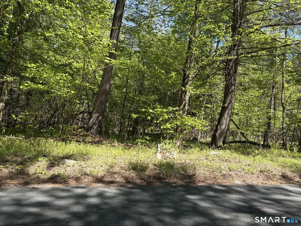16 East West Hill Road, Barkhamsted, CT 06063 - #1