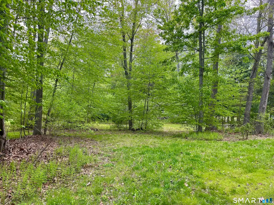Meadow Brook Road, Amston, CT 06231 - #3