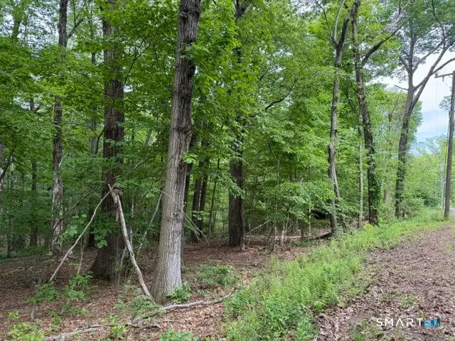 LOT10-B1 Foot Hills Road, Haddam, CT 06438 - #3