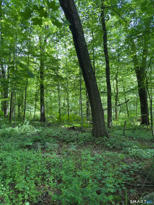 319 White Oak Trail, Winchester, CT 06098