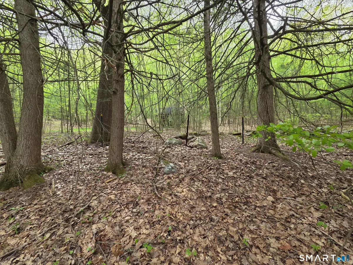 Davis Road, Harwinton, CT 06791 - #1