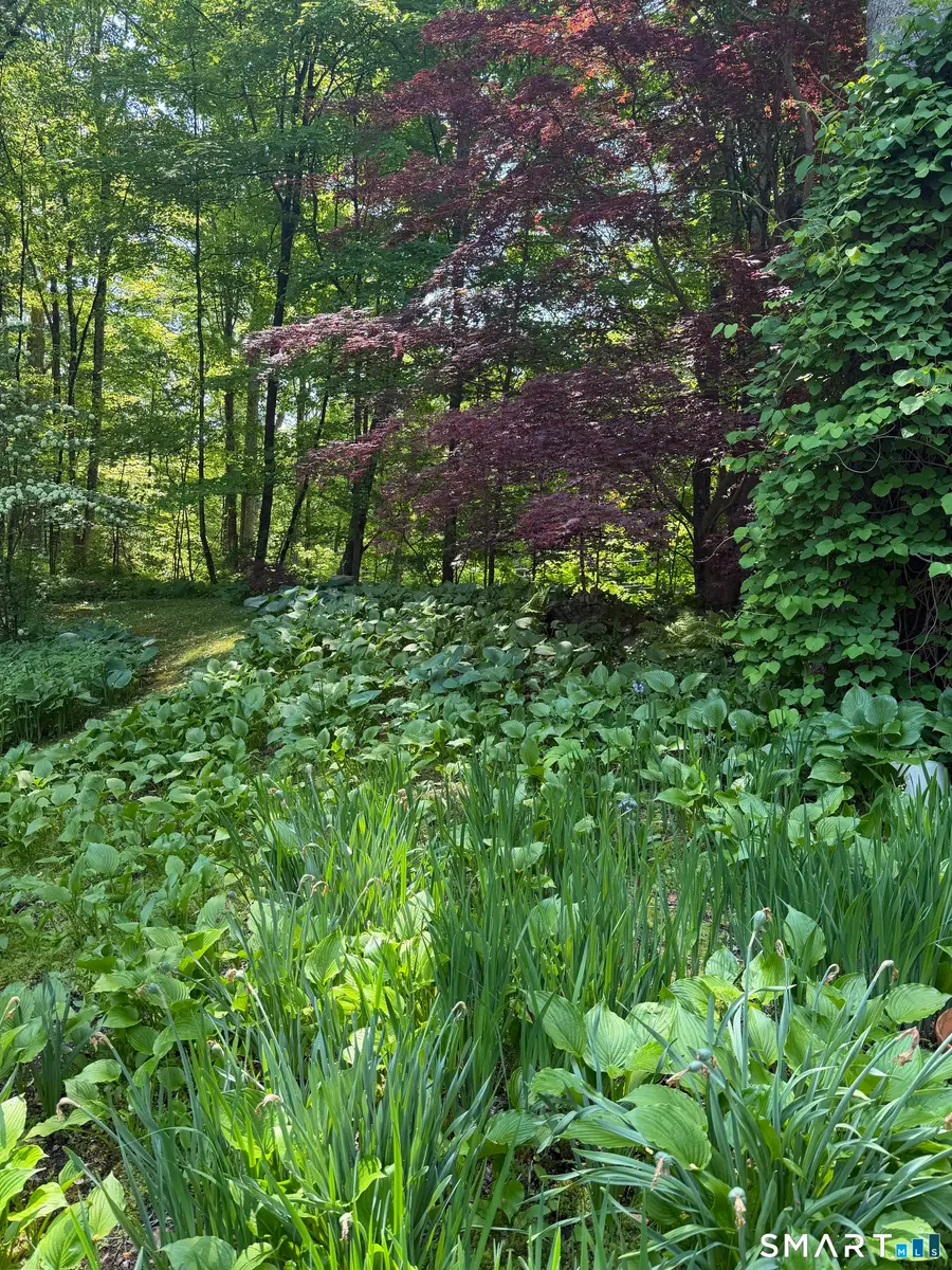 Southbury Road, Roxbury, CT 06783 - #3