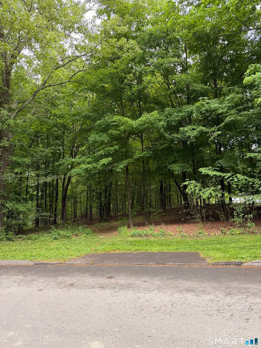 8 Sugar Maple Lane, New Fairfield, CT 06812 - #3