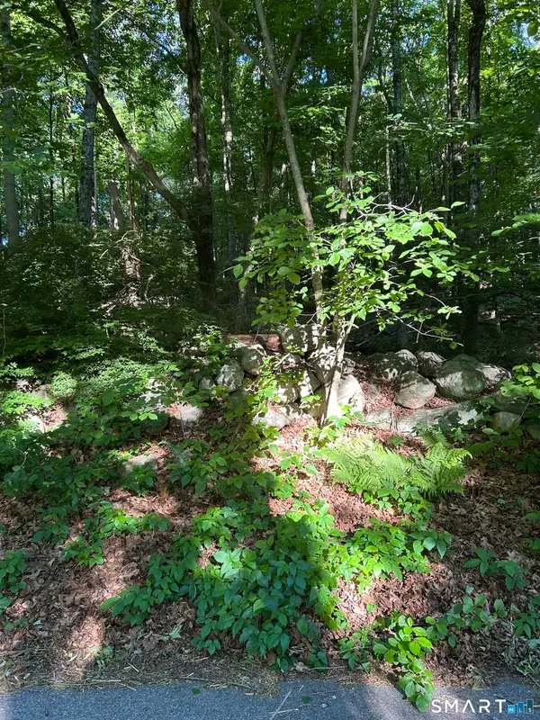 Cobbs Mill Road, Wilton, CT 06897