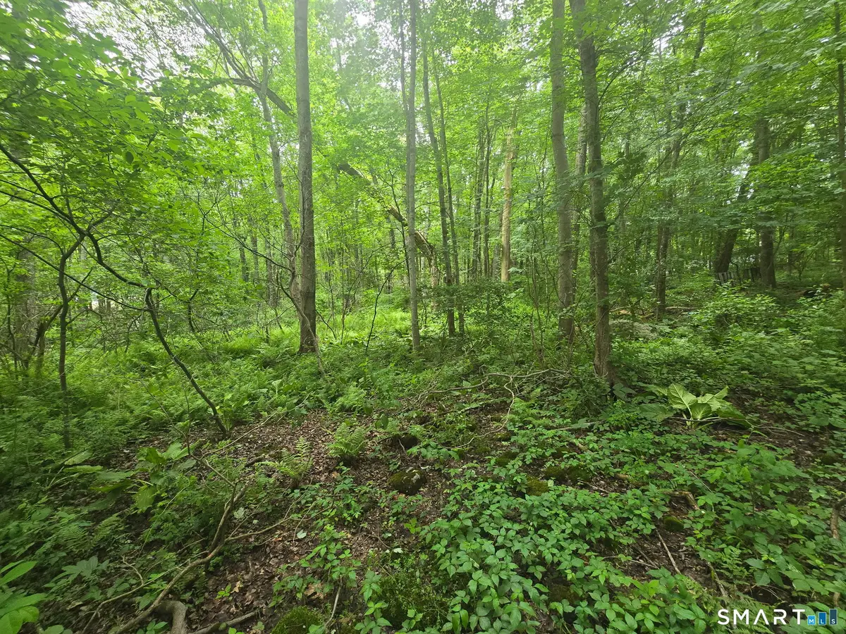 Boston Hill Road, Andover, CT 06232 - #1