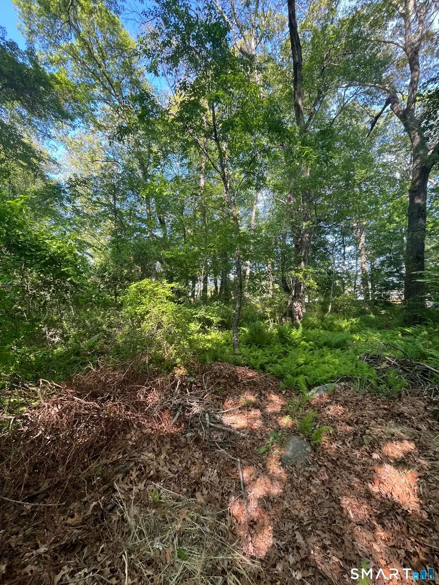 Ann Avenue, Norwich, CT 06360 - #2