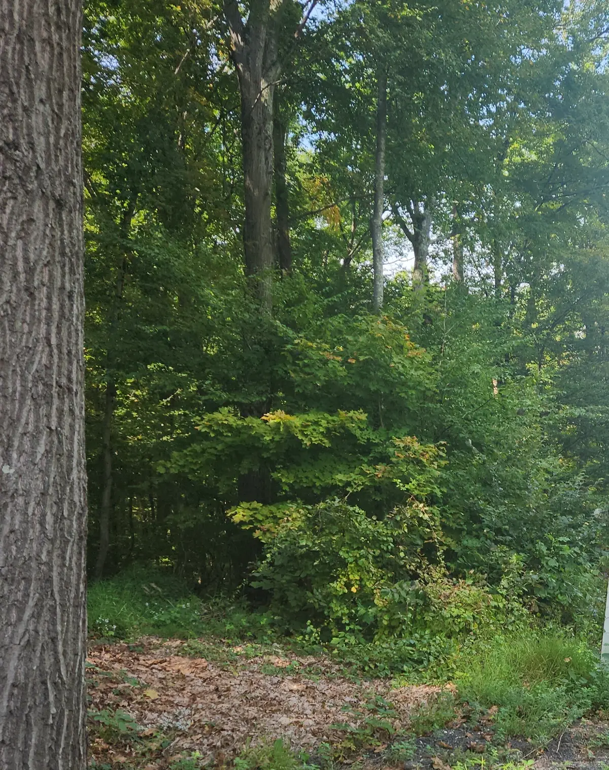 Lot 13 Waterbury Road, Cheshire, CT 06410 - #1