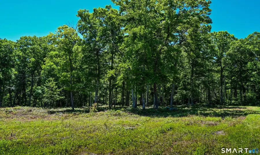 Westwoods Road #2, Sharon, CT 06069 - #3