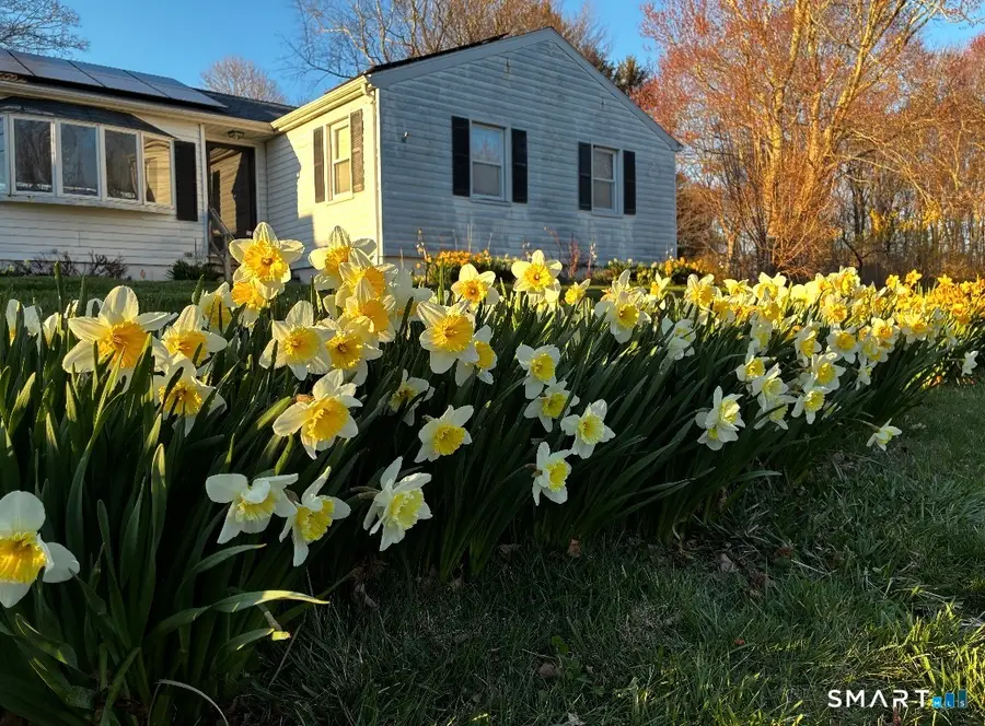 10 Barone Road, Niantic, CT 06357 - #2
