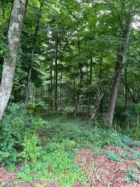 22 1/2 Country Ridge Road, Danbury, CT 06811 - #1