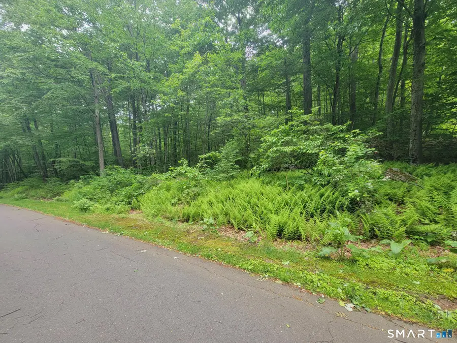 17 (Lot 2) Secret Mountain Trail, Canton, CT 06019 - #2