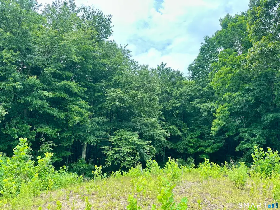 32 Birchwood Lane, Woodbury, CT 06798 - #3