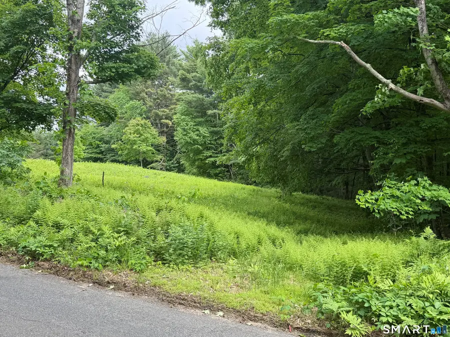 133 Painter Hill Road, Woodbury, CT 06798 - #2