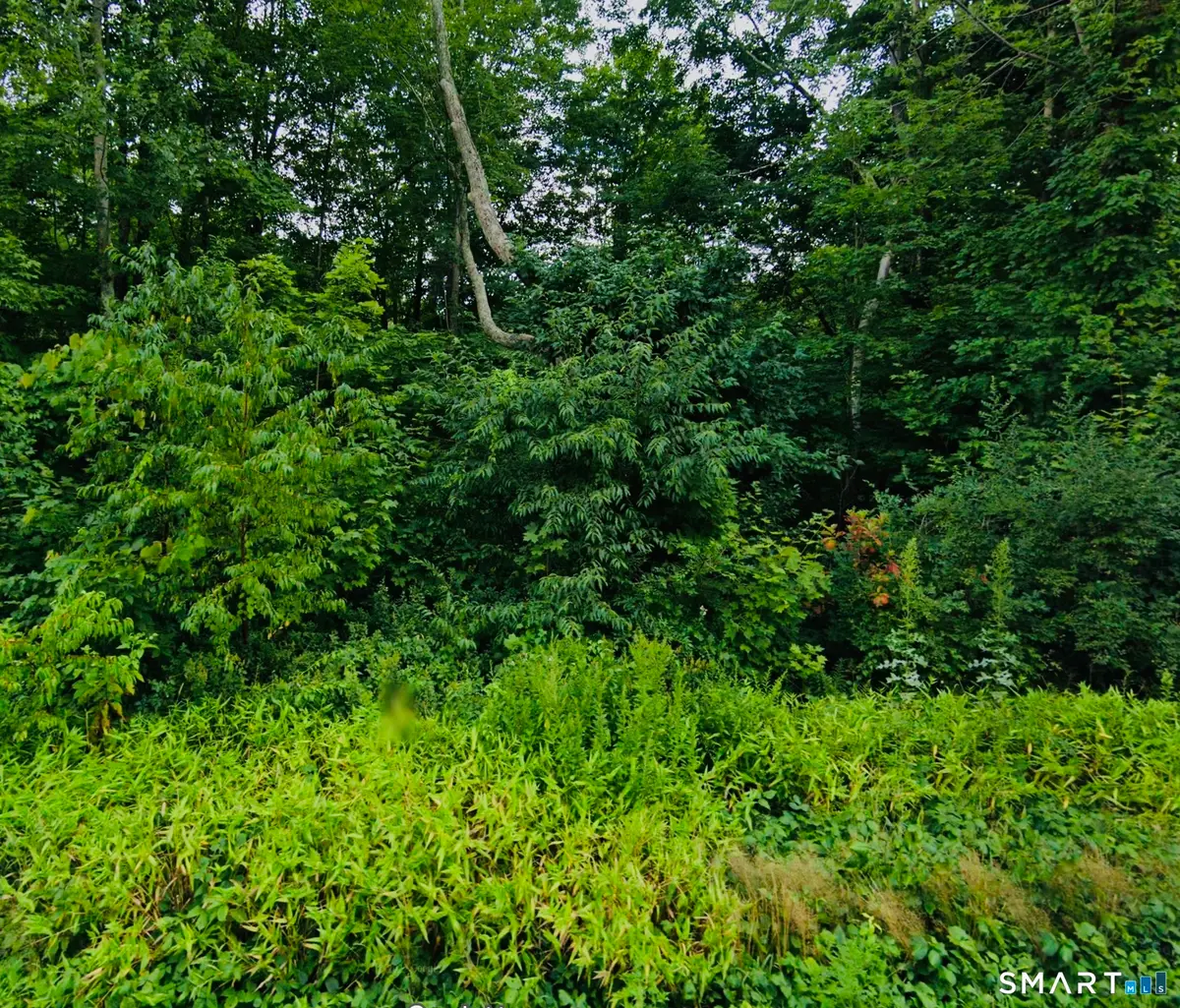 Lot 6 & 6A Mashamoquet Road, Pomfret, CT 06259 - #1