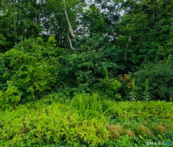 Lot 6 & 6A Mashamoquet Road, Pomfret, CT 06259