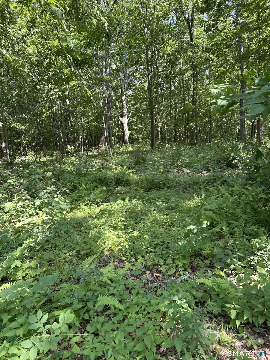 Pond Meadow Road #00, Killingworth, CT 06419 - #3