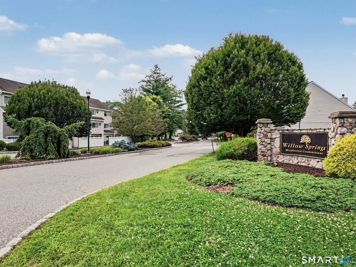 166 Willow Springs #166, New Milford, CT 06776 - #1